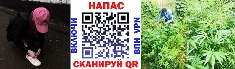Наркошоп Махачкала Амфетамин Каннабис А ПВП Гашиш МЕФ Кокаин