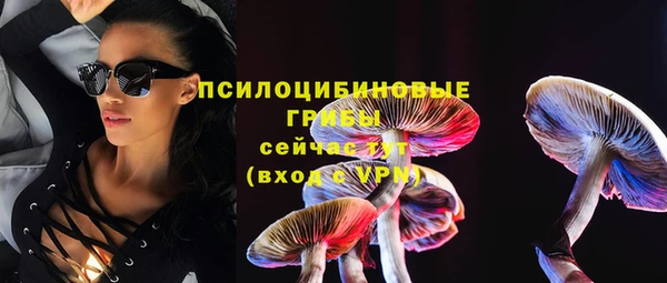 гидра Бронницы