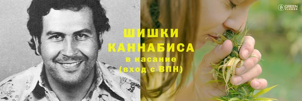ешки Бородино