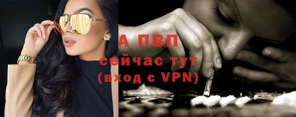 ешки Бородино