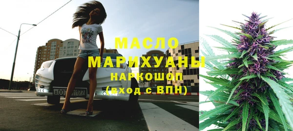 ешки Бородино