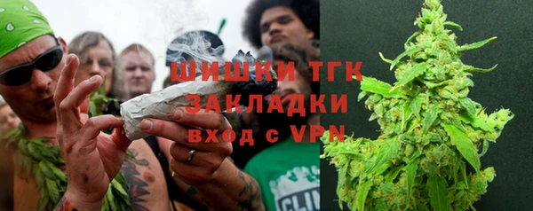 ешки Бородино
