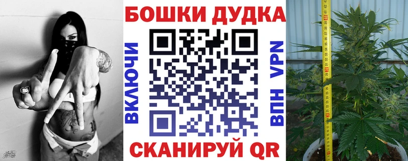 наркота  Махачкала  Шишки марихуана планчик 
